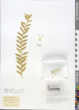 LE 01054879
