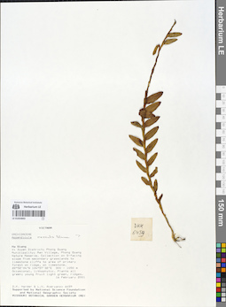 LE 01054892