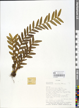 LE 01054893