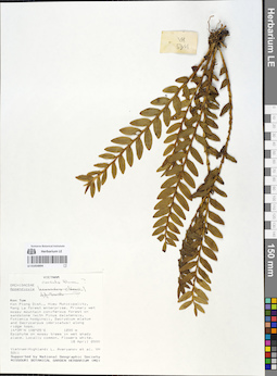 LE 01054894