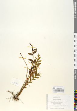 LE 01054903