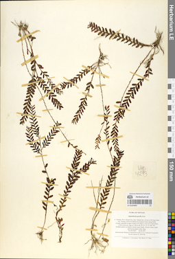 LE 01054907