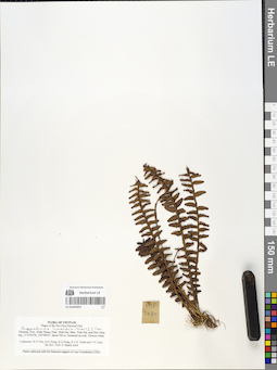 LE 01054937