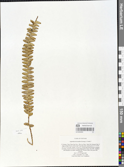 LE 01054943