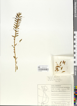 LE 01054947