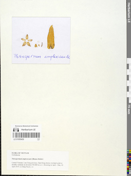 LE 01055430