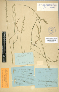 LE 01009338