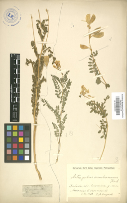 LE 01009460