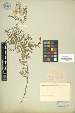 LE 01009461