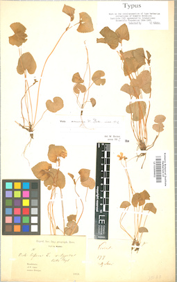 LE 01009602