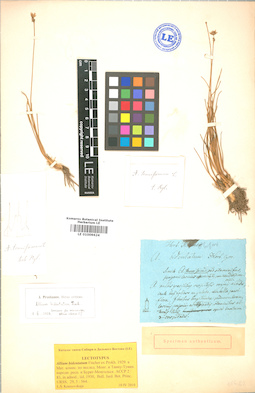 LE 01009624
