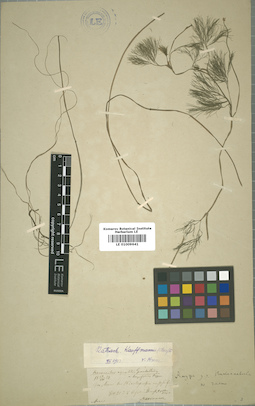 LE 01009641