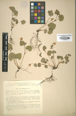 LE 01009647