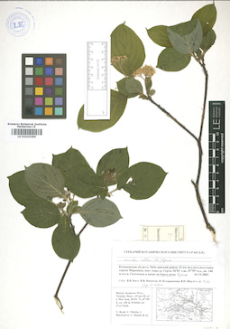LE 01010396