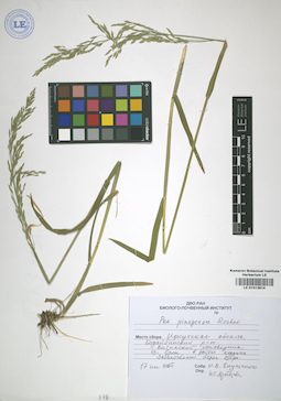 LE 01013814