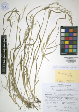 LE 01013815