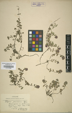 LE 01013863