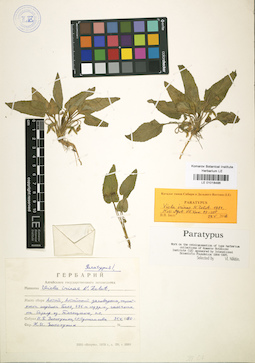 LE 01018486