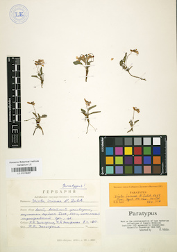 LE 01018487