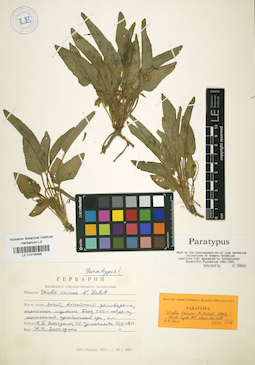 LE 01018488