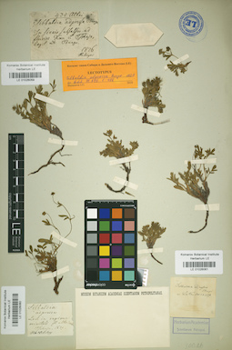 LE 01026061