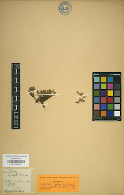 LE 01026062