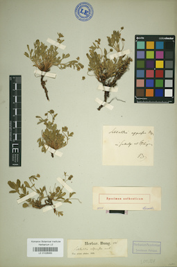 LE 01026063