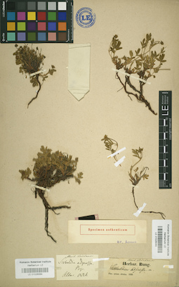 LE 01026065