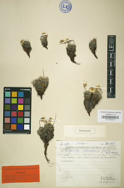 LE 01032104