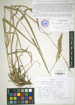 LE 01032186