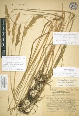LE 01032188
