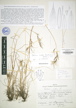 LE 01032191