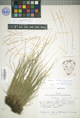 LE 01032193