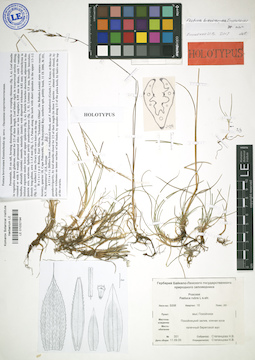 LE 01032194