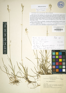 LE 01032198