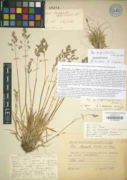 LE 01032199