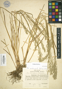 LE 01039401