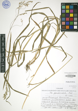 LE 01039402