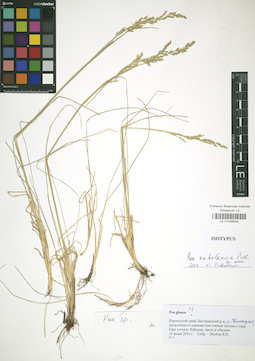 LE 01039404
