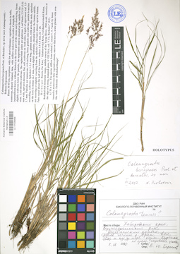 LE 01039499