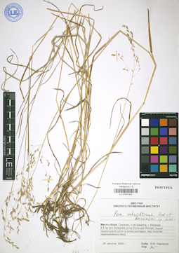 LE 01041302