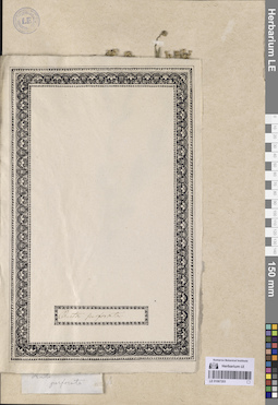LE 01067203