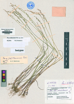 LE 01043566