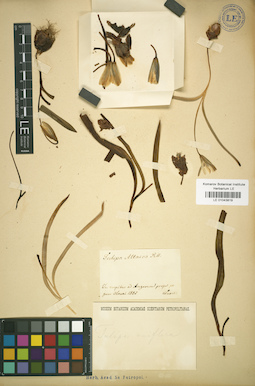 LE 01043819
