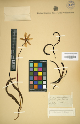 LE 01043821