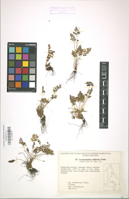 LE 01043875