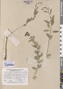LE 01071427