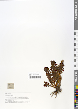 LE 01054967