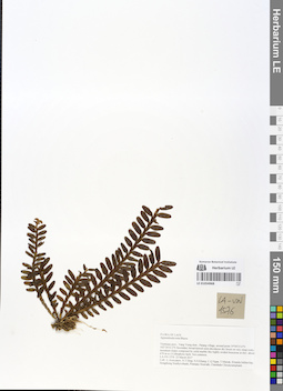 LE 01054968