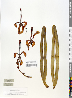 LE 01054974